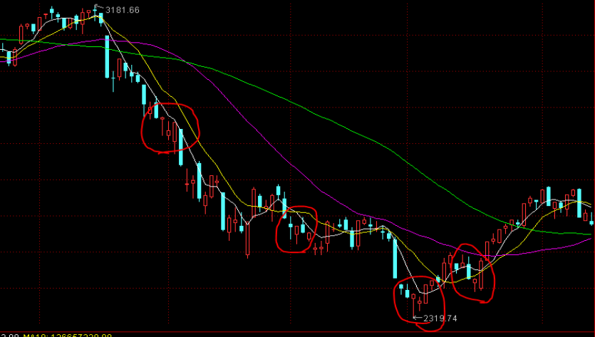 提高“两癌”防治认知  呵护“她”健康